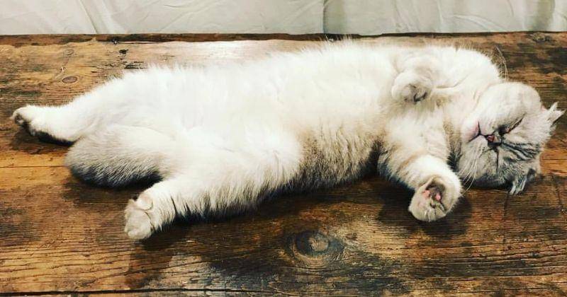 Instagram.com/taylorswift